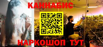 прущие крисы Новозыбков
