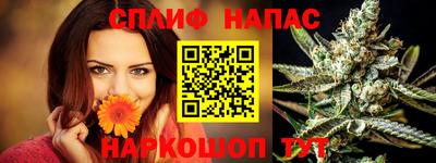 прущие крисы Новозыбков