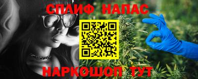 прущие крисы Новозыбков