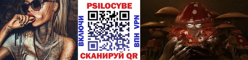 купить Юрга OMG онион Галлюциногенные грибы Magic Shrooms